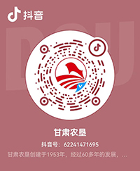 抖音